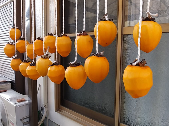 正月に帰省する子らを思って我が家では今年も柿を吊しました。　　　　　　・帰省する子らを思ひて柿吊す(和良)