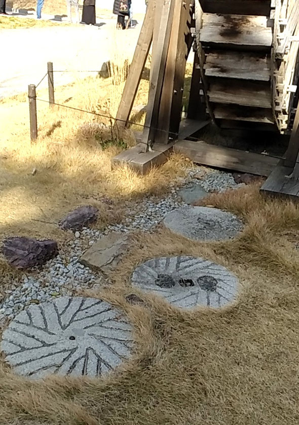 わら家の庭の飛石と水車に差す冬日は優しくやわらかでした。　　　　　　　・飛石と水車に冬日やはらかく(和良)
