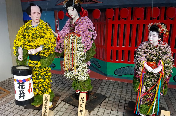 菊人形展の方では初日から菊の香りがたっぷり溢れていました。　　　　　　・初日からあふれる香り菊人形(和良)　