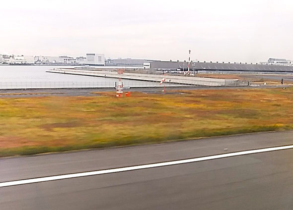 羽田空港の滑走路には真っ赤な草紅葉が広がっていました。　　　　　　　　・真っ赤なる草紅葉見て着陸す(和良)
