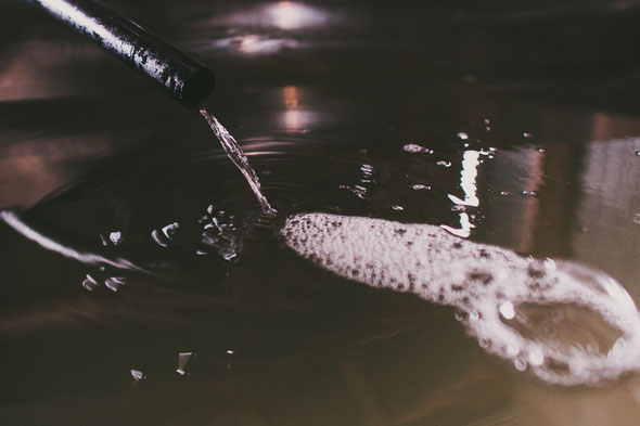 Clear sap running into the storage tank.