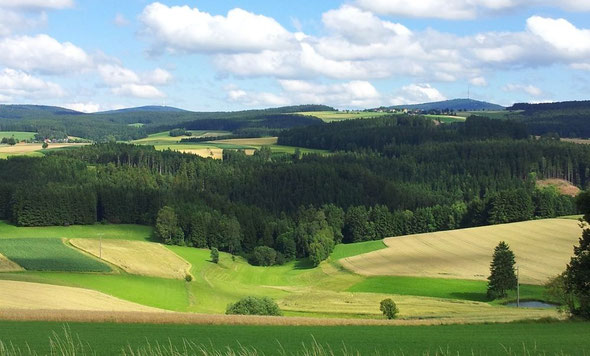 Blick auf Wülfersreuth (c) kr2media