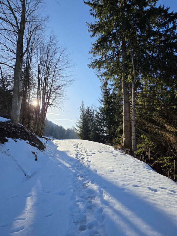 Winterspaziergang im Allgäu