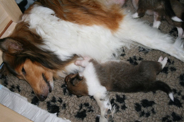 Bennett kuschelt mit Mama ... <3