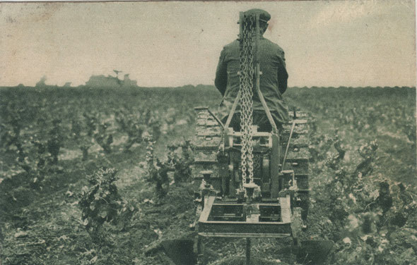 Carte postale 