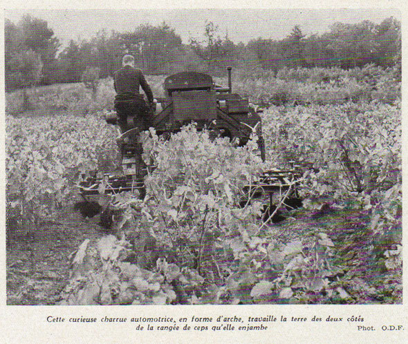 La légende de la photo est assez  rigolote !