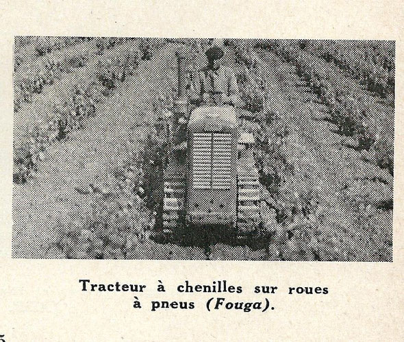 1951