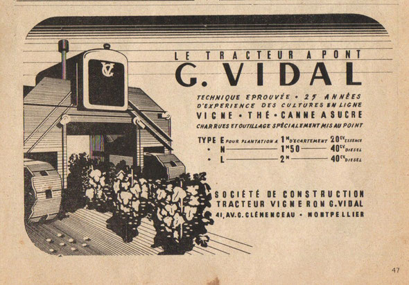 Vidal Image
