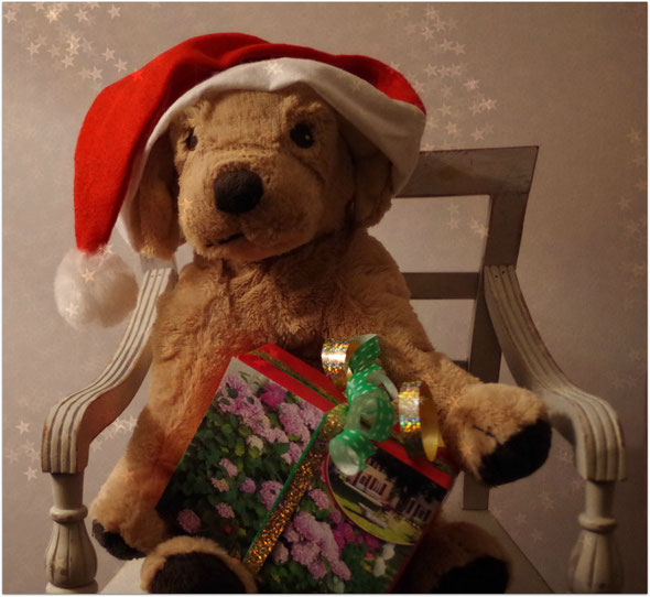 Doudou et son cadeau