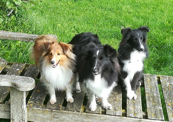 Anneli, Mama Winnie und Brady