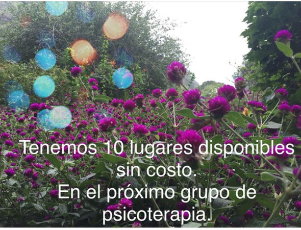 psicoterapia sin costo