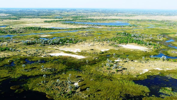 Grave entorse au bilan carbone pour admirer le delta de l'Okavango depuis le ciel
