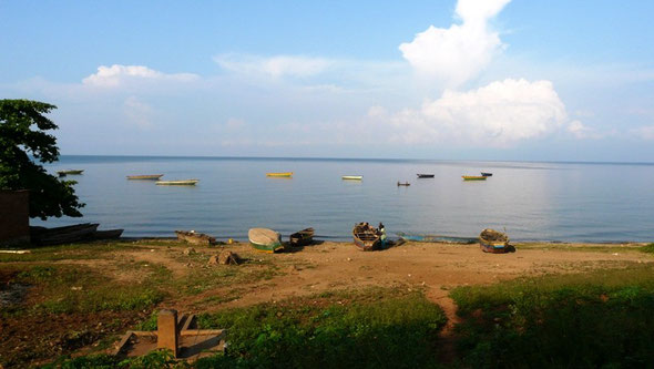 Barques de pécheurs du lac Tanganyika