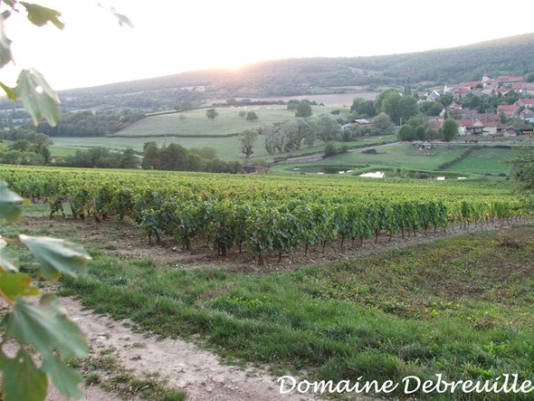 domaine debreuille, tournus, plottes, royer, macon, chalon sur saone, mancey, lugny, vin, vigne, fut, press cask, pressoir,  tonneau, bouteilles, proprietaire recoltant, wine, bourgogne, grape, cepage, aligote, chardonnay, pinot, gamay,