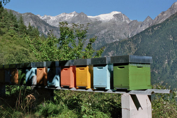 Bienenstand mit Aussicht zur Adula