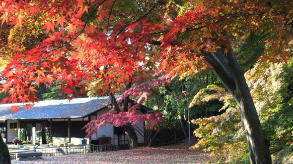 懐古園紅葉まつり 10月30日 小諸駅徒歩8分の賃貸マンション 懐古園紅葉まつり 10月30日 小諸駅徒歩8分の賃貸マンション