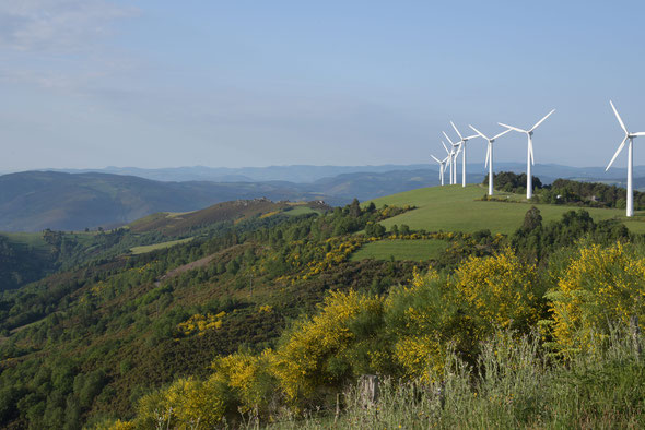 einfach immer schöne Perspektiven - die Windräder standen still - kein Wind !