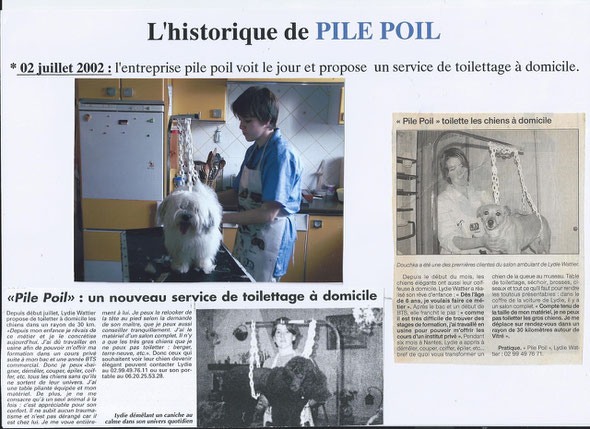 Historique pile poil Vitré