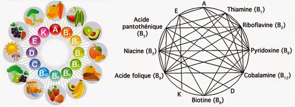 Interaction des vitamines / Professeur Marc Henry