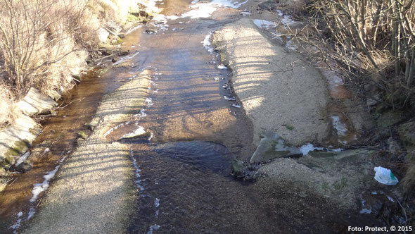 Fig. 2: The sedimented riverbed of the Lainsitz in the municipality of St. Martin in December 2015.