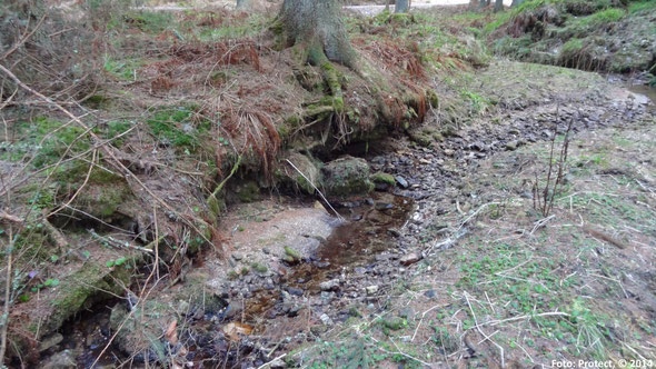 Fig. 3: The Einsiedelbach in January 2014 about 400 m below the point of water abstraction for technical snow-making.