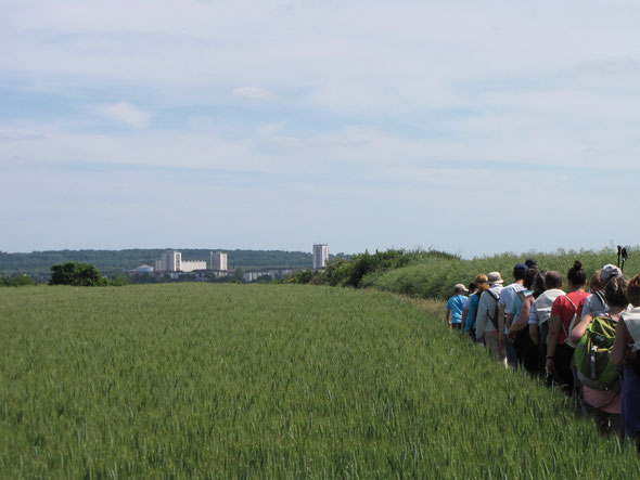 sur  le  retour  , vision de  Montataire   au dessus des champs . Oise  Verte et  Bleue  2015.