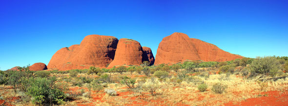 The Olgas