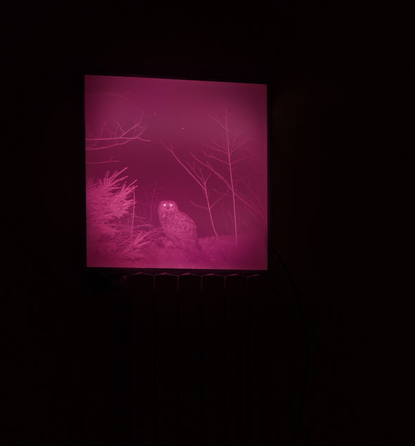 Neon Shelter (c) Teresa Fellinger & Evalie Wagner