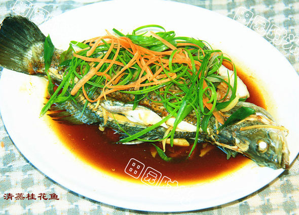 清蒸桂花鱼 田园时光美食坊 美食交流的小站 私房菜 家常菜 宴客菜 西餐探索 美味猎奇
