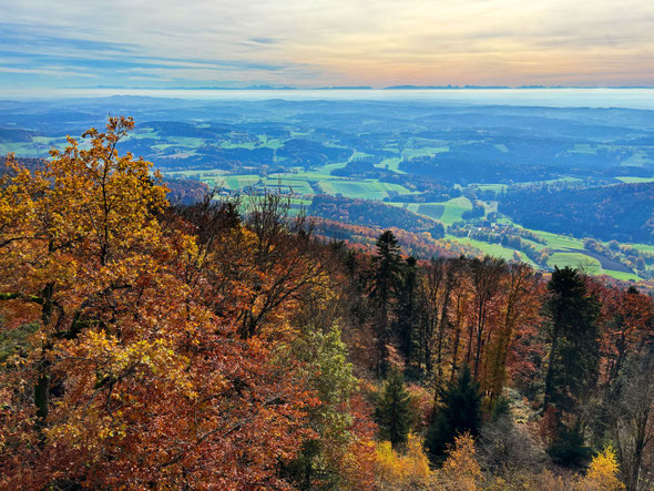 Der Blick vom Büchelstein nach Süden - nicht nur im Herbst traumhaft schön.