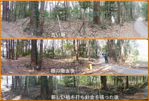 柵更新の前後