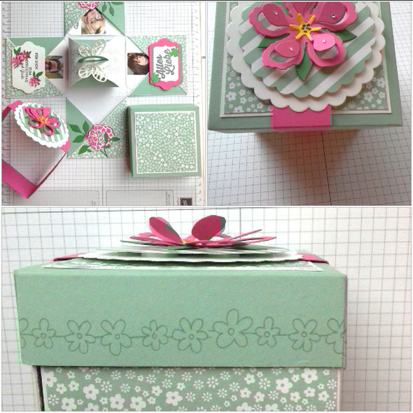 #Stampin` Up! #stempelliese.com #explosionsbox #minibox