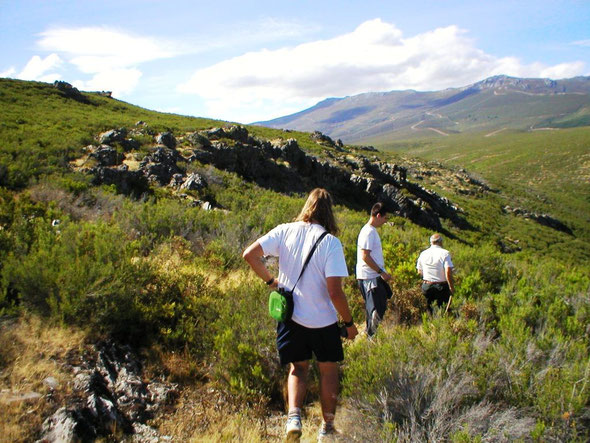 Prospección en Villarejo de la Sierra (Zamora)