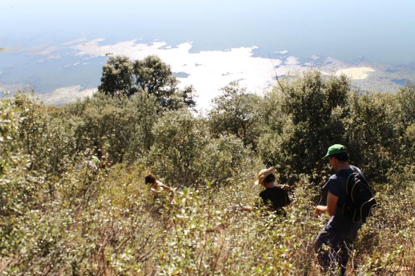 Prospecciones en el valle del Esla