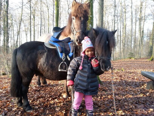 Aicha und Ihr Shettyhengst mit einem Sattel von uns. Die beiden sind ein Herz und eine Seele 😍