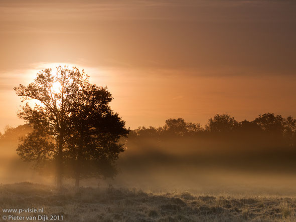 Zonsopkomst op het Leersumse veld