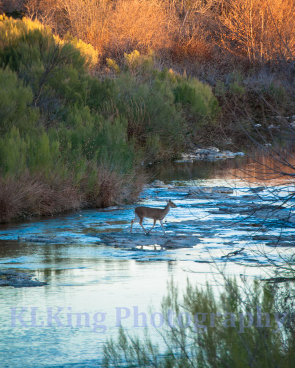 granite bottom creek