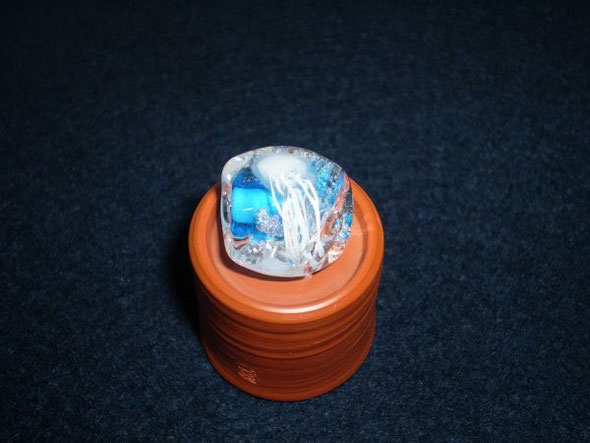 2011.8.18 R's Jellyfish