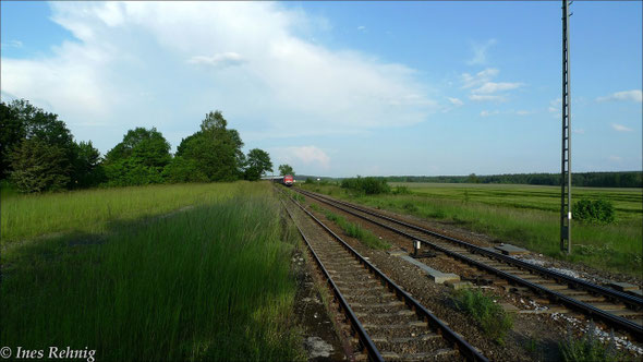 An der Einfahrweiche des Bahnhofs Freihöls