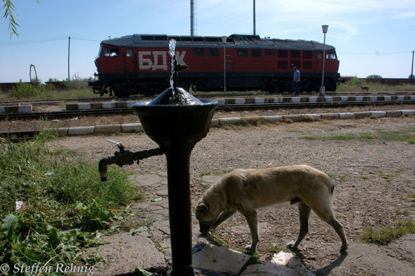 .... und gleich nach meiner Ankunft fährt die BDŽ 07 111.8 als Lz aus Ruse ein ....