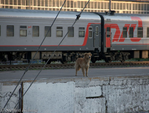 "Bahnsteigaufsicht" in Moskva Kiewer Bahnhof / Киевский вокзал (21. Mai 2012)