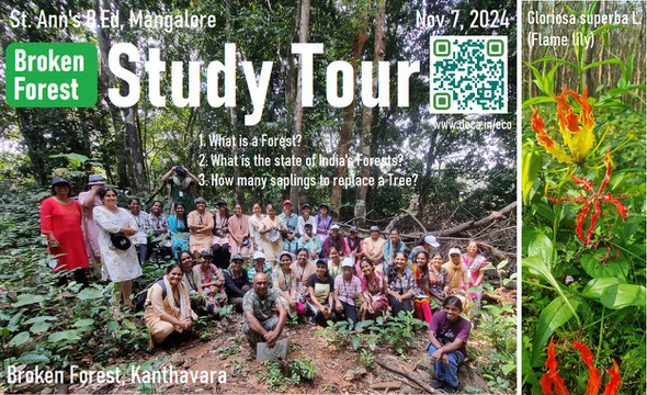 Broken Forest - Study Tour