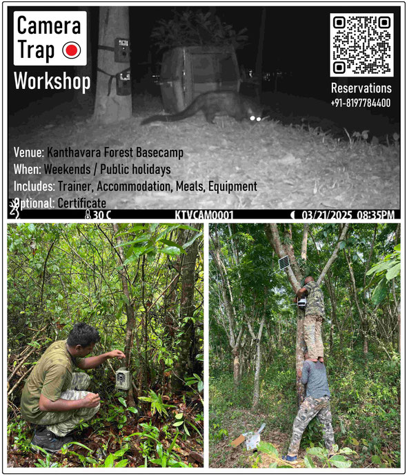 Camera Trap workshop