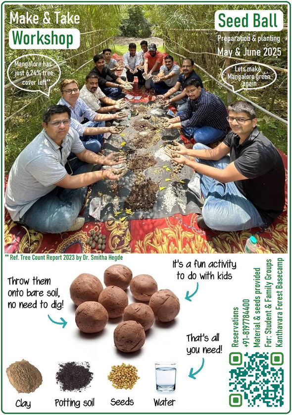 Seedball workshop