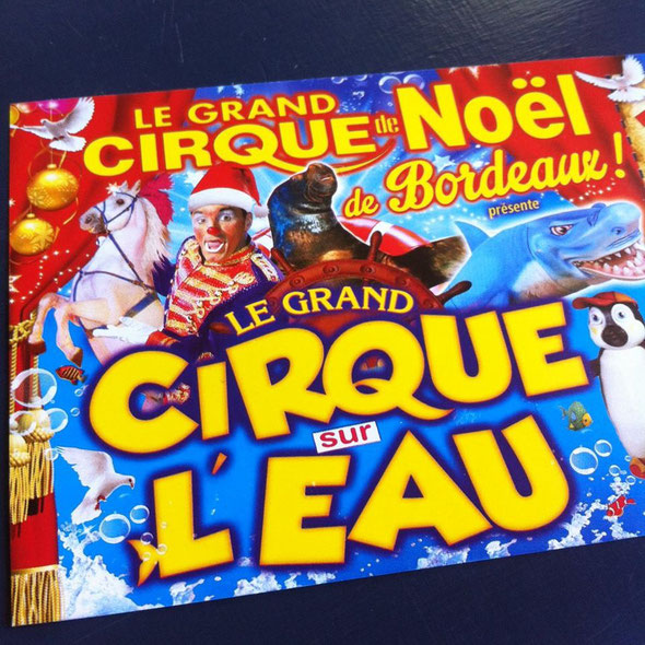 le grand cirque sur l'eau bordeaux