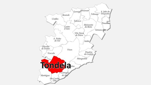 Localização do concelho de Tondela no distrito de Viseu