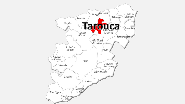 Localização do concelho de Tarouca no distrito de Viseu