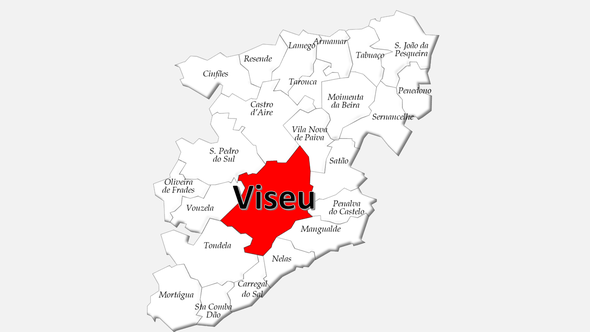 Localização do concelho de Viseu no distrito de Viseu