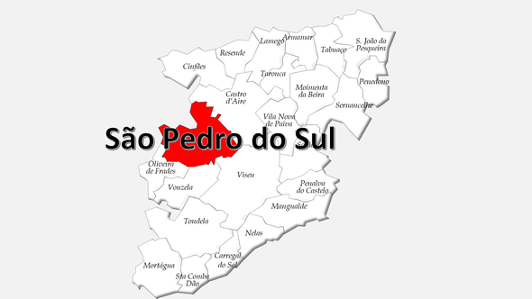 Localização do concelho de São Pedro do Sul  no distrito de Viseu