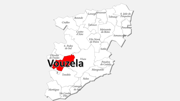 Localização do concelho de Vouzela no distrito de Viseu